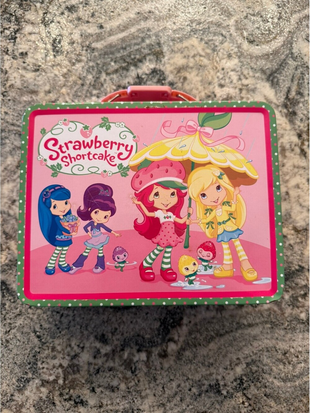 Strawberry Shortcake Metal Lunchbox Collectible Tin